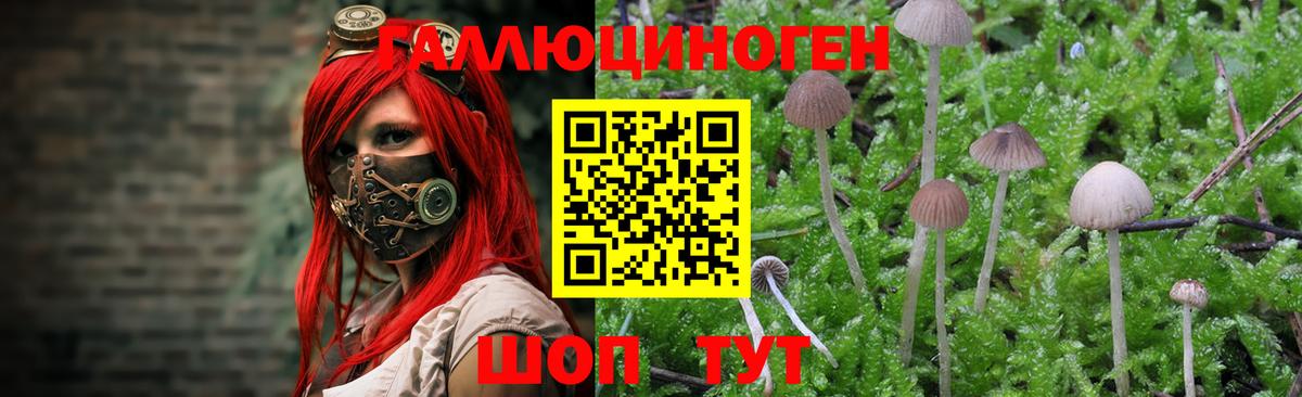 Псилоцибиновые грибы MAGIC MUSHROOMS  Галлюциногенные грибы ЛСД  Вход с VPN  Магнитогорск 